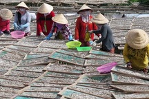 Làng nghề đặc sản vào Tết