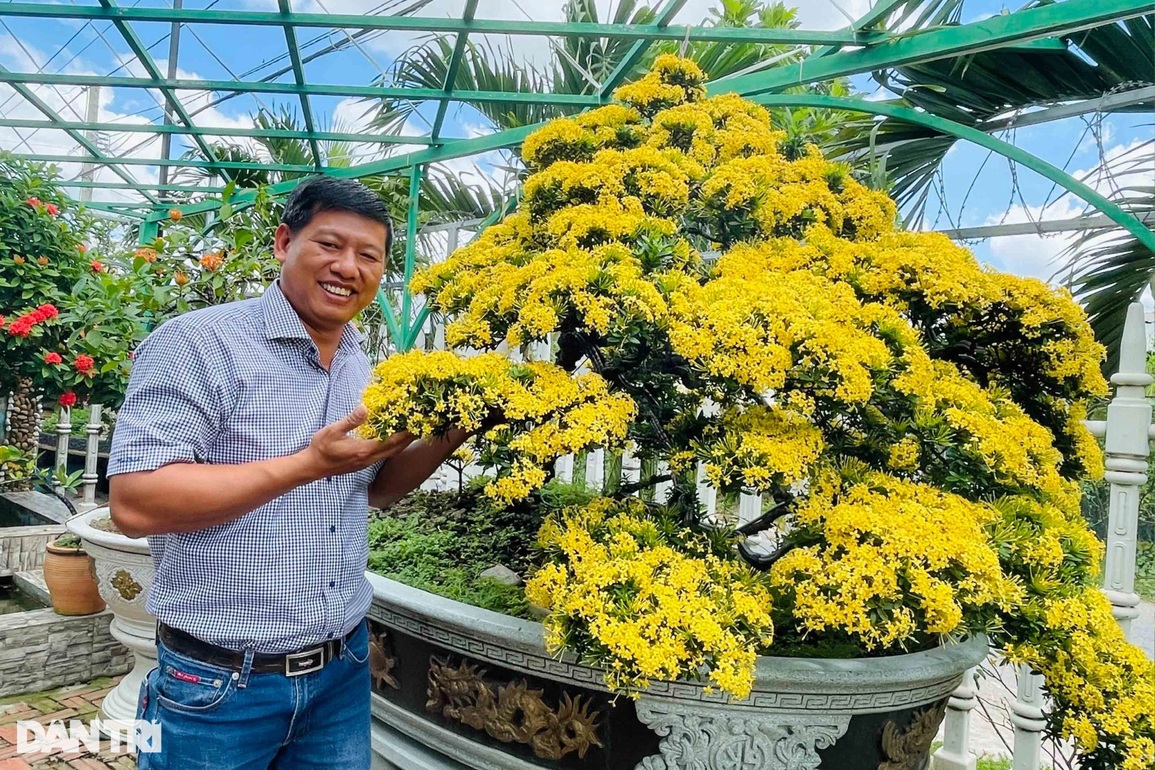 Kiếm rủng rỉnh 250 triệu đồng mỗi năm nhờ nghề tay trái trồng bông trang - 4 Kiếm rủng rỉnh 250 triệu đồng mỗi năm nhờ nghề tay trái trồng bông trang - 4