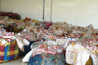 Bắt giữ gần 3 tấn thịt gà bốc mùi 