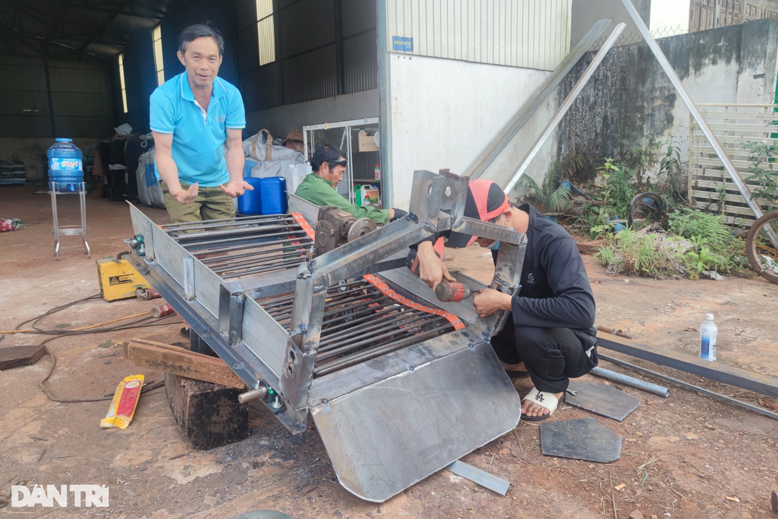 Lão nông thu tiền tỷ mỗi năm với đặc sản khoai vàng trái vụ - 4 Lão nông thu tiền tỷ mỗi năm với đặc sản khoai vàng trái vụ - 4