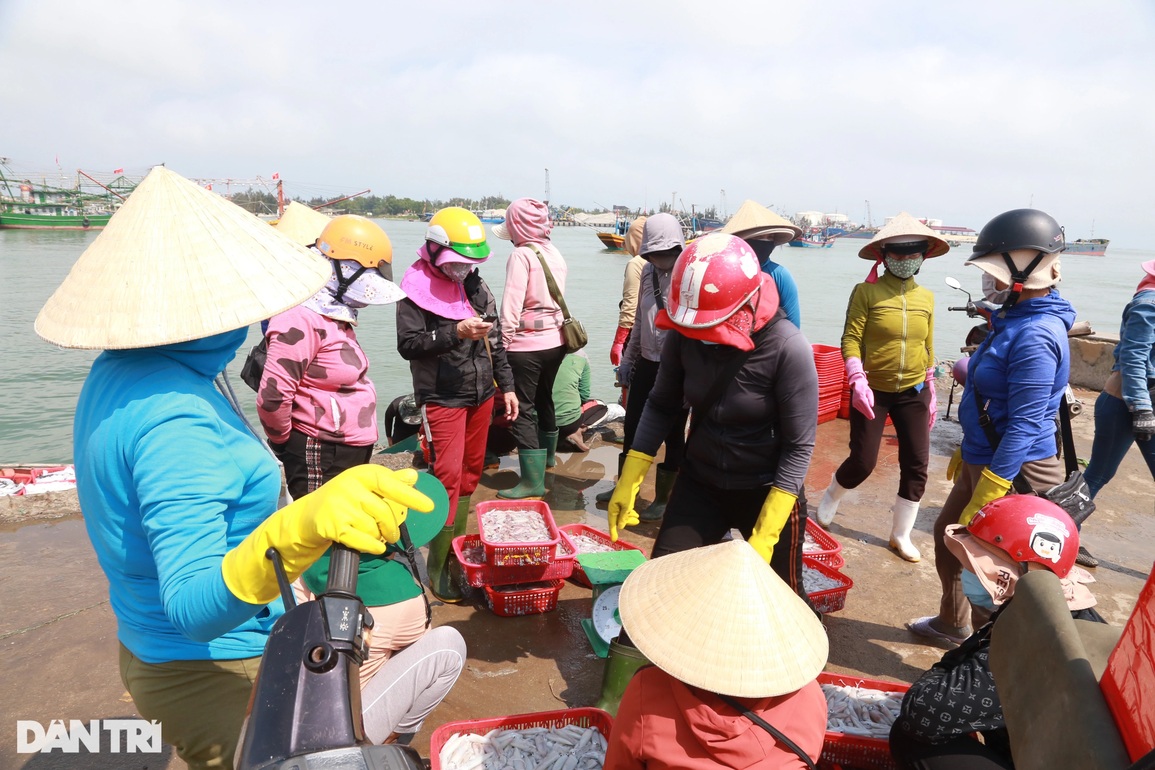 Ngư dân kiếm tiền triệu mỗi chuyến ra khơi nhờ đánh bắt đặc sản - 2 Ngư dân kiếm tiền triệu mỗi chuyến ra khơi nhờ đánh bắt đặc sản - 2