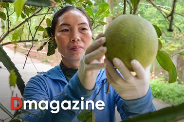 Bình đẳng giới và mô hình phụ nữ hiện đại, làm giàu trên quê hương