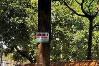 Xử phạt người đàn ông ngang nhiên thu đổi ngoại tệ trái phép