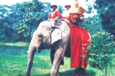 Huế: Cưỡi voi thăm cung vua hút khách ngày 30-4