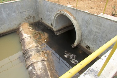 Dân tố nhà máy chế biến gỗ Nghệ An gây ô nhiễm môi trường