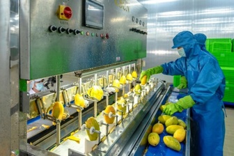 Việt Nam thu hơn 1,3 tỷ USD từ xuất khẩu rau quả chế biến