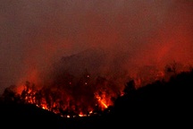 Gần ngàn người dập đám cháy rừng kéo dài suốt 4 ngày