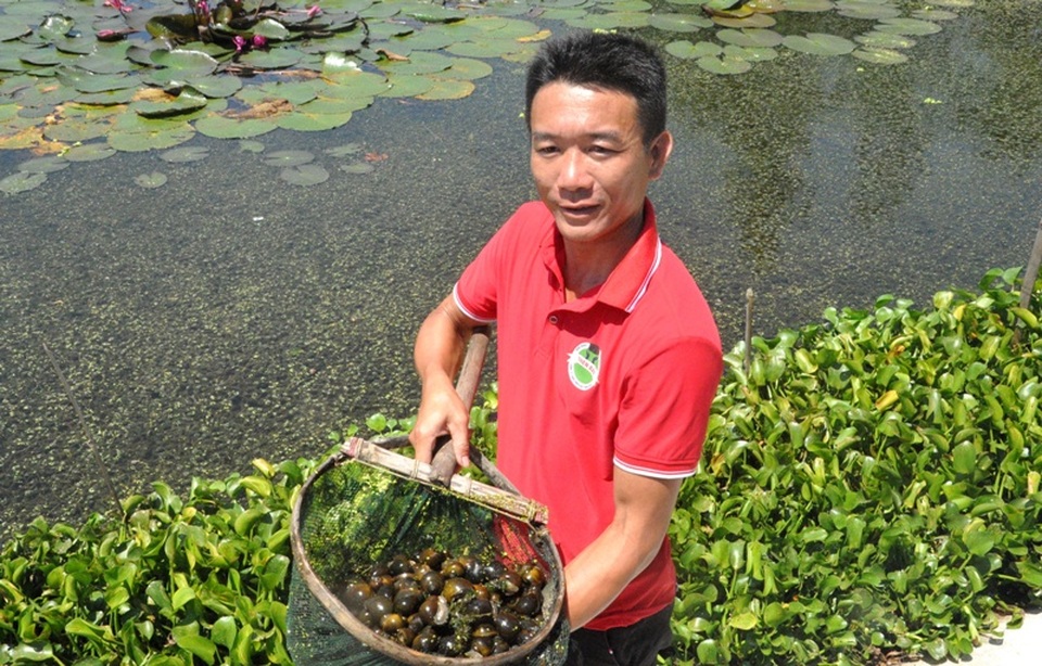 Từ vệ sĩ thành giám đốc công ty nuôi... ốc nhồi - 3 Từ vệ sĩ thành giám đốc công ty nuôi... ốc nhồi - 3