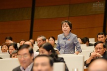 "Chạy chọt cho được một dự án thủy điện để tha hồ... phá rừng?"