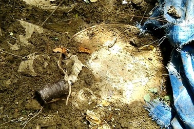 6 bất bình thường trong vụ chôn thuốc trừ sâu