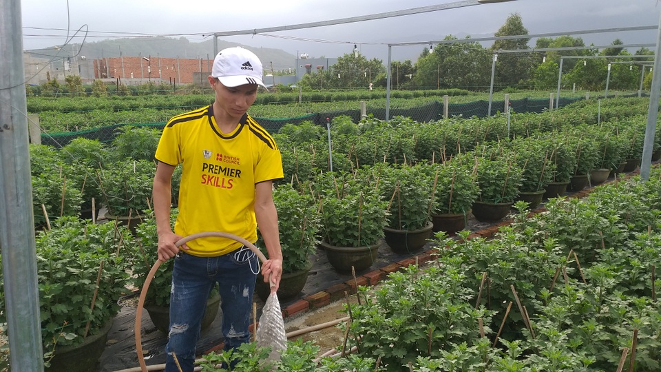 Hoa Tết được giá, nông dân phấn khởi - 1 Hoa Tết được giá, nông dân phấn khởi - 1