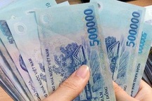 Bạc Liêu: Số nợ đóng BHXH từ 2 tháng trở lên đã gần 30 tỷ đồng