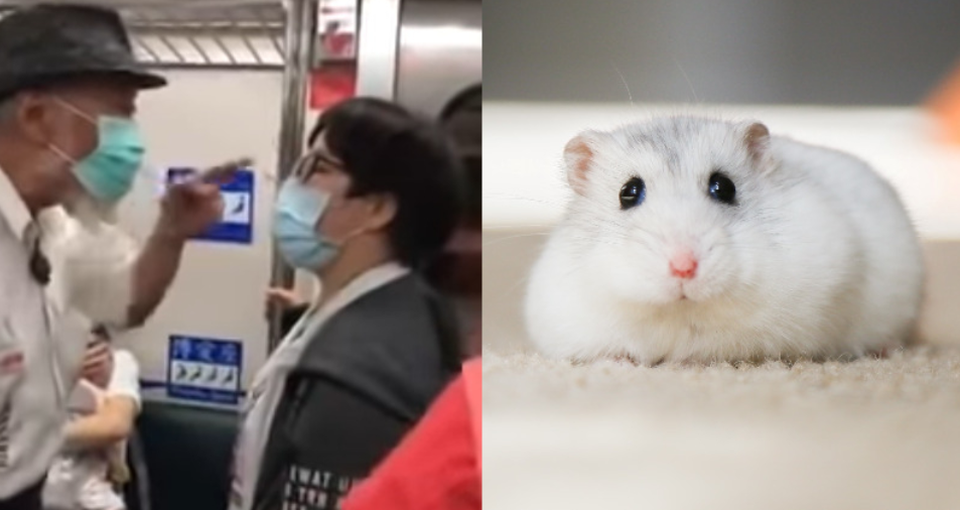 Tranh cãi nảy lửa trên tàu giành chỗ ngồi... cho chuột - 1 Tranh cãi nảy lửa trên tàu giành chỗ ngồi... cho chuột - 1