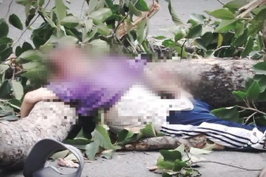 Nạn nhân bị nhánh cây đè ở Công viên Tao Đàn có được bồi thường?