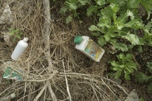 Ruộng rau sạch la liệt bao bì thuốc bảo vệ thực vật