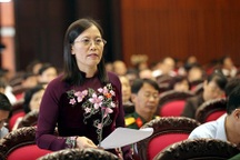 Chất vấn Chánh án Trương Hòa Bình: “Có bao nhiêu thỏ bị tuyên là gấu?”