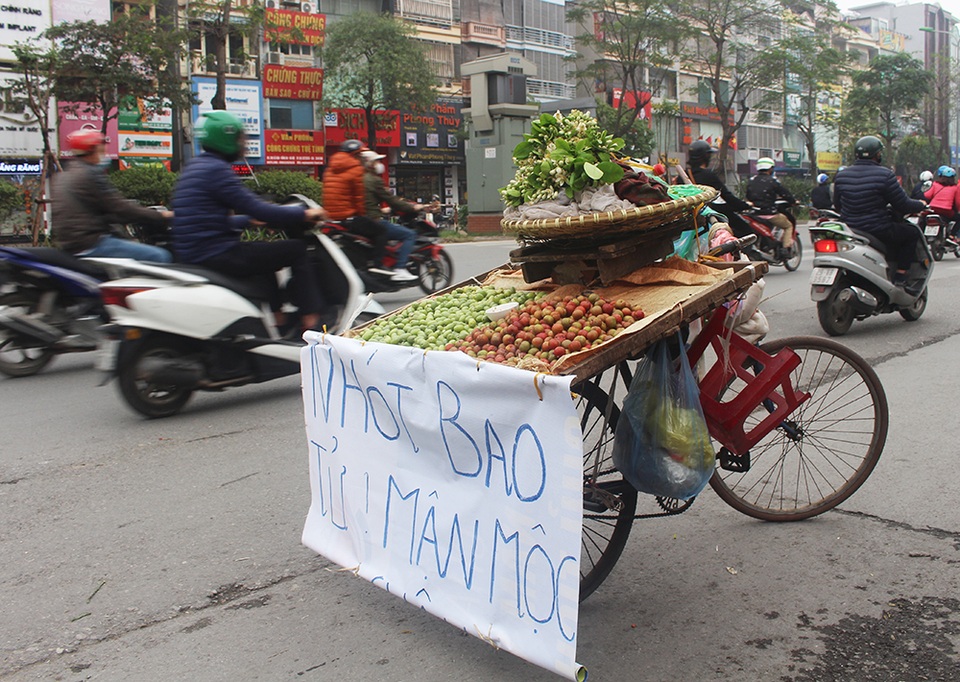 Kiếm tiền triệu mỗi ngày nhờ bán nhót xanh - 1 Kiếm tiền triệu mỗi ngày nhờ bán nhót xanh - 1