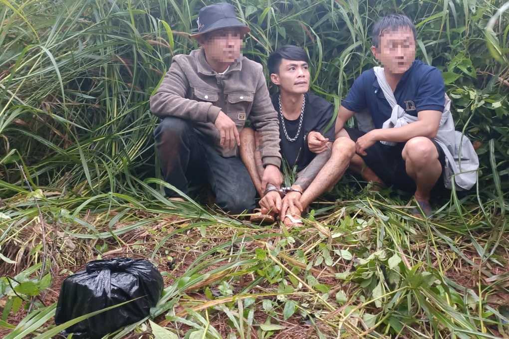 Giấu 2,5 bánh heroin trong rẫy cà phê - 1 Giấu 2,5 bánh heroin trong rẫy cà phê - 1