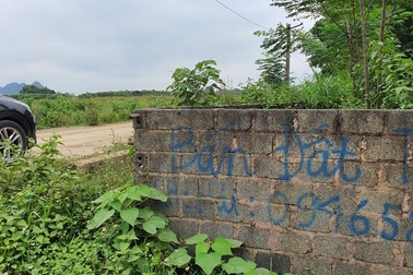 "Cơn sốt" đất nền vùng ven cuối năm: Vội vàng mua, ẵm cú lừa tiền oan (!?)