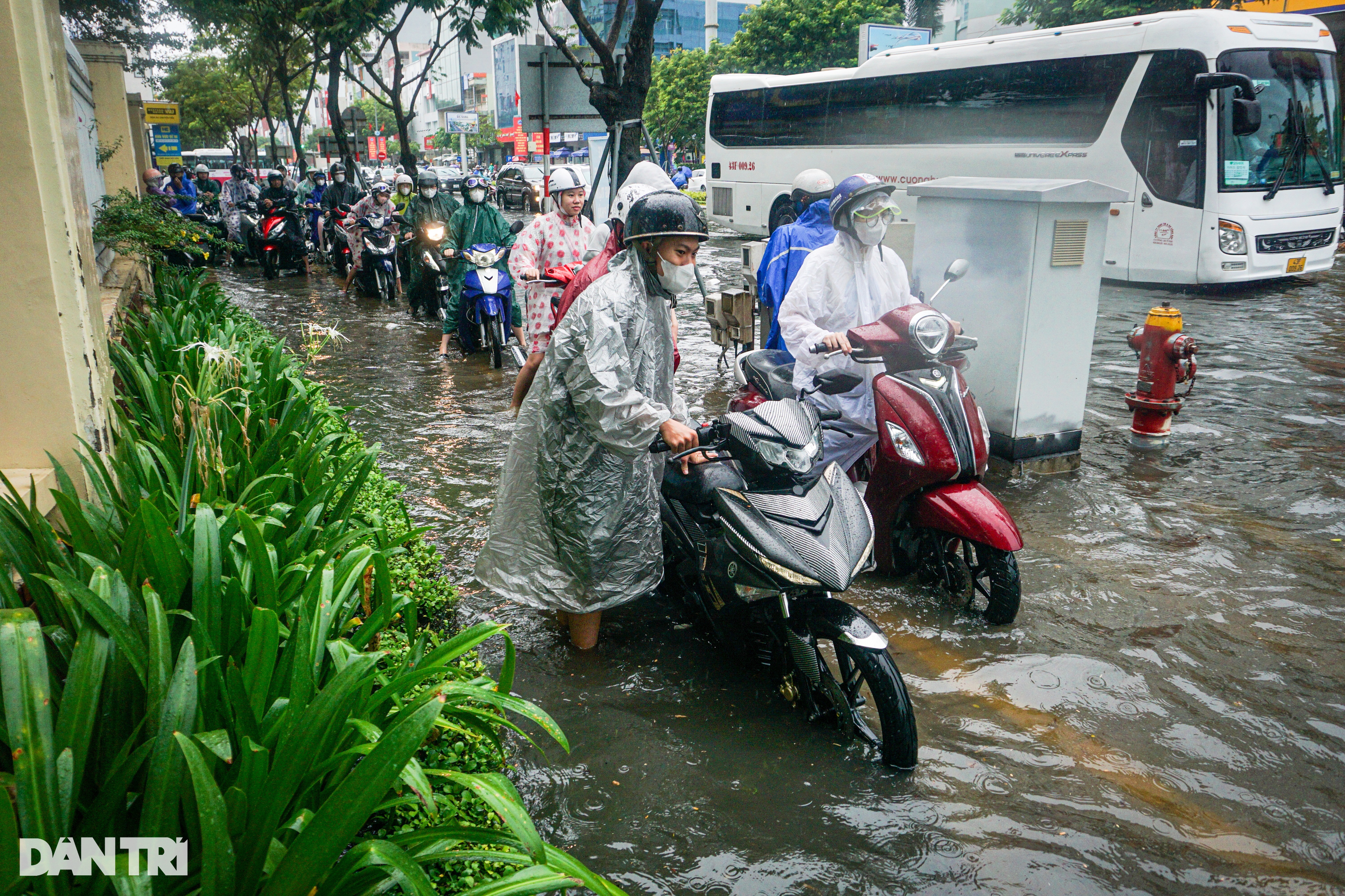 Đà Nẵng mưa xối xả, đường phố lênh láng nước, xe chết máy hàng loạt - 8