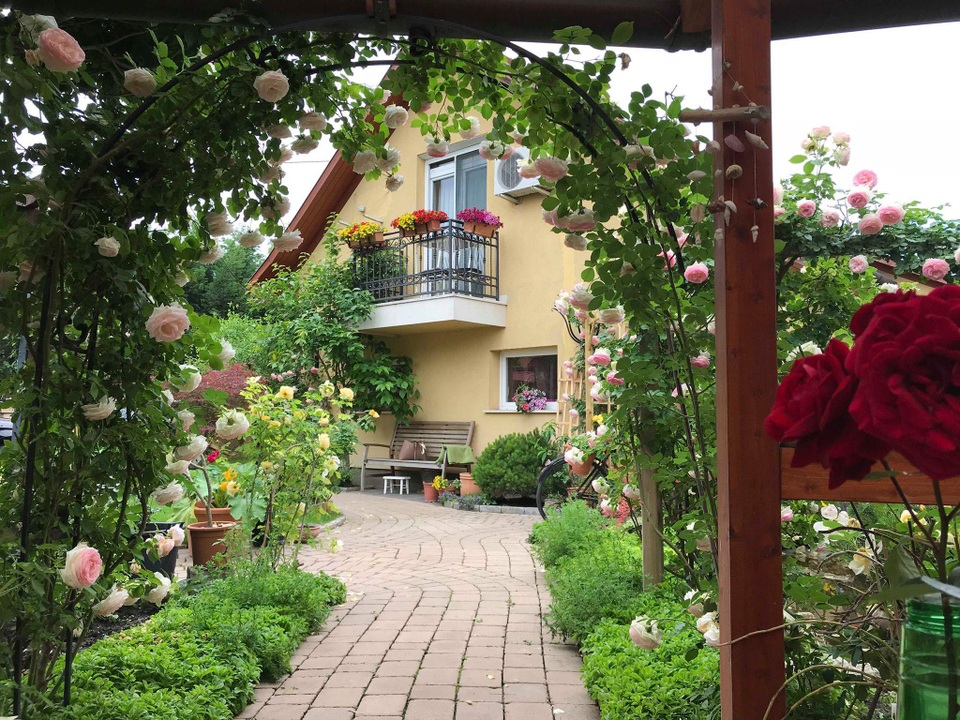 Ngôi nhà phủ kín hoa hồng đẹp không rời mắt của nữ Việt kiều ở Hungary - 1 Ngôi nhà phủ kín hoa hồng đẹp không rời mắt của nữ Việt kiều ở Hungary - 1