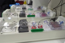 Cận cảnh máy tính sinh học chạy bằng tế bào não người sống