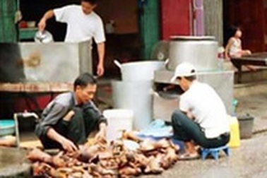 Thành phố thịt mèo