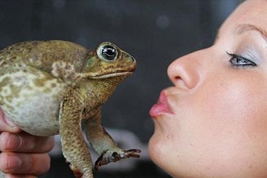 Cóc có khả năng dự báo động đất 