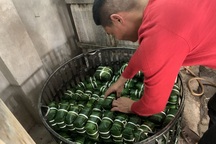 Hương vị Tết ở làng bánh chưng Tranh Khúc