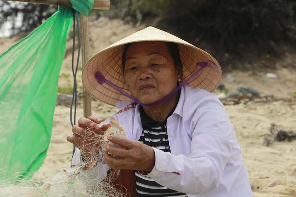 Huế: Trúng vụ ghẹ giáp Tết - 3 Huế: Trúng vụ ghẹ giáp Tết - 3