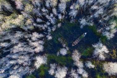 Miền sông nước Đồng Tháp “đẹp lạ” tại giải ảnh quốc tế