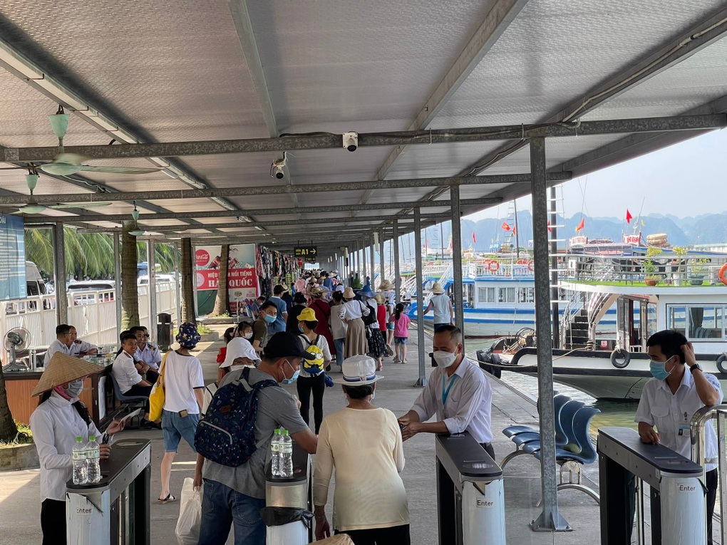 Cảng tàu đông nghịt, tàu du lịch hối hả chở khách ra tham quan vịnh Hạ Long - 4 Cảng tàu đông nghịt, tàu du lịch hối hả chở khách ra tham quan vịnh Hạ Long - 4
