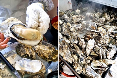 Những trải nghiệm tuyệt vời khi đến thăm Tohoku vào mùa đông