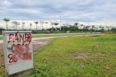 Đất đấu giá "nóng" trở lại, chuyên gia khuyến cáo tránh đi vào vết xe đổ