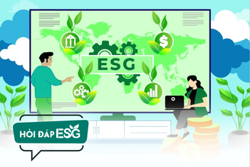 Tiêu chuẩn S trong ESG: Doanh nghiệp dệt may và nông sản cần làm gì?