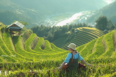 Mù Cang Chải đẹp mê đắm mùa lúa mới!