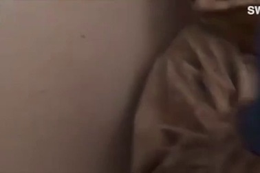 Mỹ: Hết hồn phát hiện 3,5 vạn con ong làm tổ trong nhà