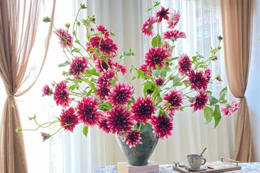 Cách cắm hoa thược dược đẹp, tươi lâu chơi Tết