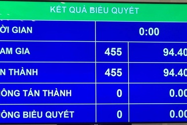 Chủ tịch nước quyết định việc cử, rút người tham gia gìn giữ hòa bình LHQ