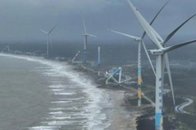 Điều bí mật giúp tua bin gió ở Trung Quốc "sống sót" trước bão Yagi