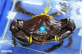 Tìm nhân lực nghiên cứu gen cua biển