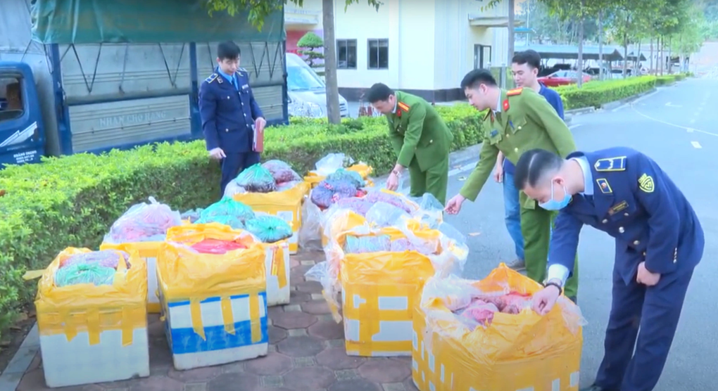 Phát hiện gần 900kg nội tạng trâu, bò hôi thối trong xe khách - 1 Phát hiện gần 900kg nội tạng trâu, bò hôi thối trong xe khách - 1