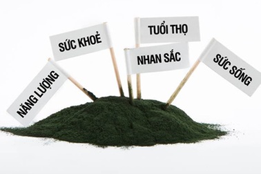 Những vùng đất "vàng" cho sức khỏe Việt Nam