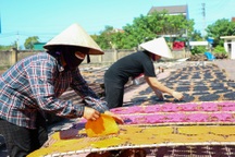 Nơi phụ nữ hong bếp, phơi nắng tạo ra thứ bánh mang về 4,5 tỷ đồng mỗi năm