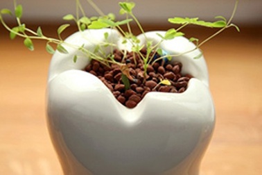 Những chuyện bi hài khi đi khám răng