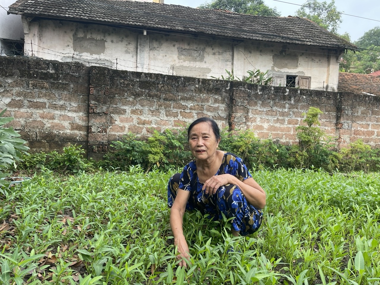 Bà Xuân.jpg Bà Xuân.jpg