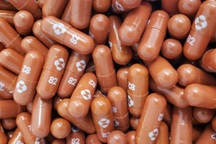 Bộ Y tế thông tin về hiệu quả của thuốc Molnupiravir với bệnh Covid-19