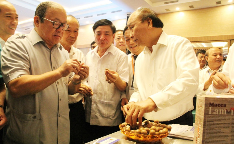 Thủ tướng: Mắc ca là cây xóa đói giảm nghèo, cây làm giàu! - 1 Thủ tướng: Mắc ca là cây xóa đói giảm nghèo, cây làm giàu! - 1