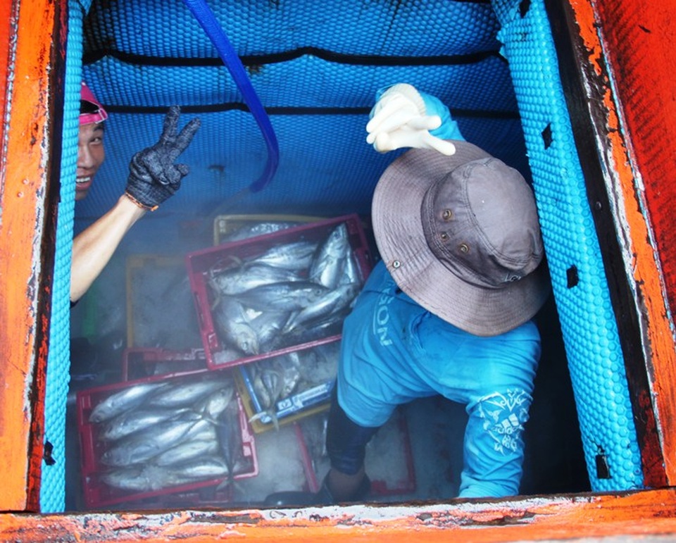 Nỗi niềm ngư dân đón Tết Độc lập trên những con tàu đánh bắt khơi xa - 5 Nỗi niềm ngư dân đón Tết Độc lập trên những con tàu đánh bắt khơi xa - 5