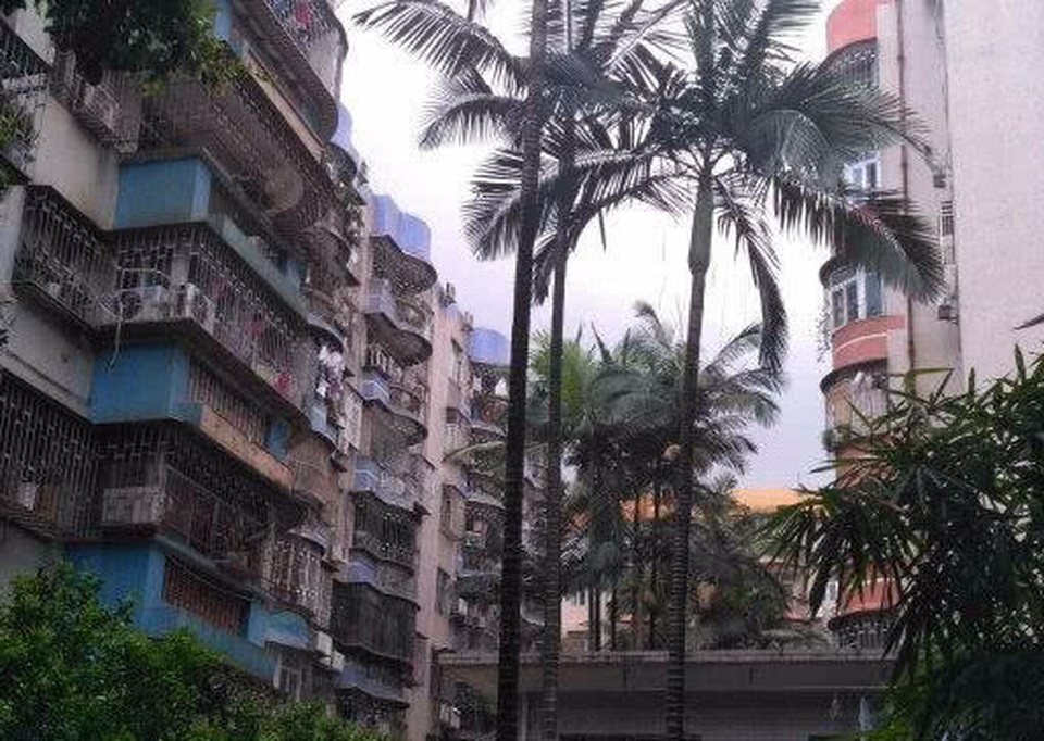 Mua nhà nhưng bỏ quên 28 năm, chủ nhà bị đòi tiền sửa chữa mới được lấy lại nhà - 2 Mua nhà nhưng bỏ quên 28 năm, chủ nhà bị đòi tiền sửa chữa mới được lấy lại nhà - 2